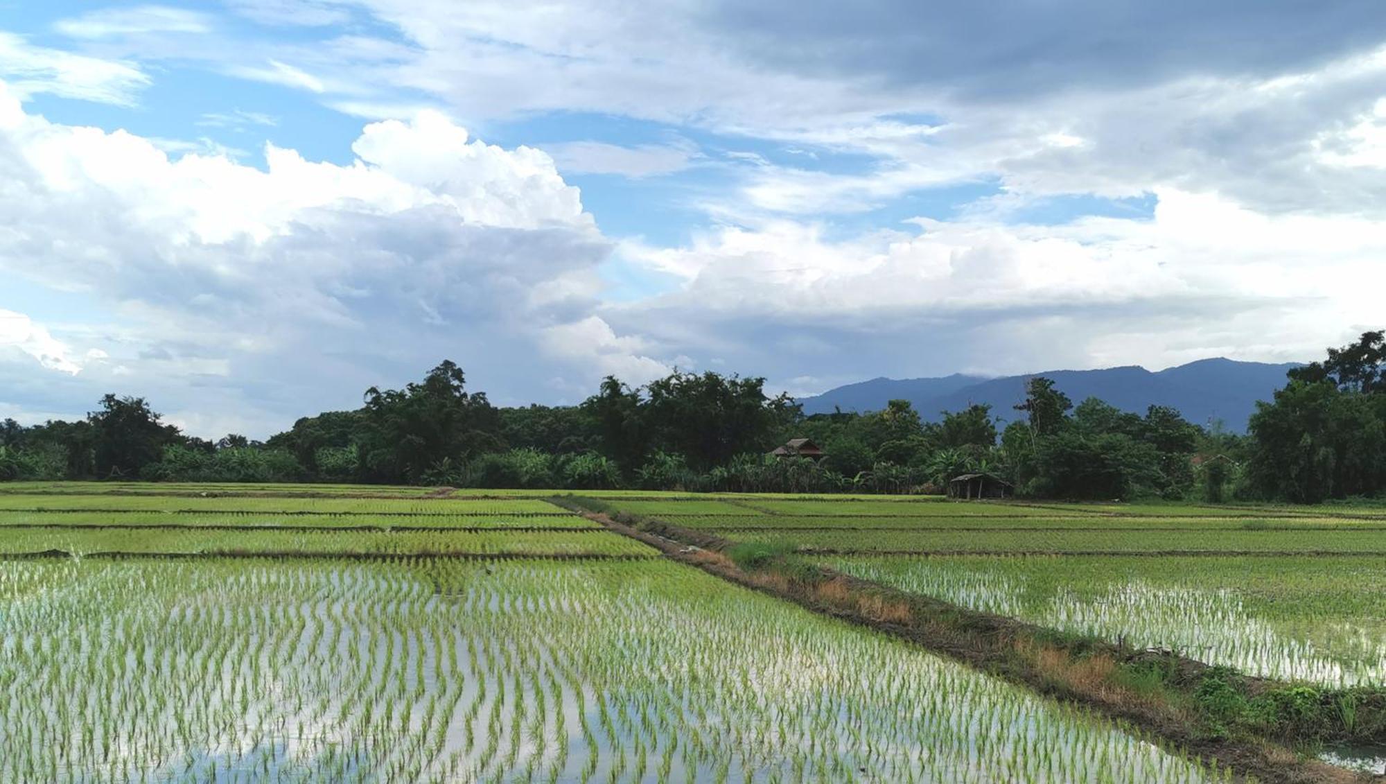 Wichouda Homestay เชียงดาว ภายนอก รูปภาพ